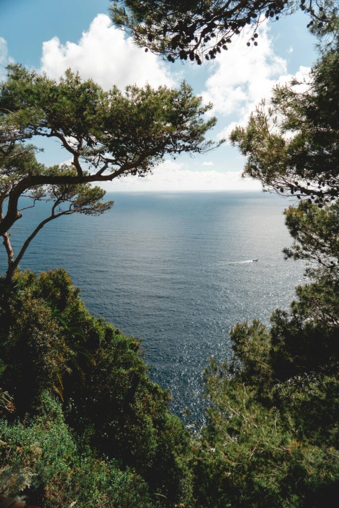 reformas en el emporda